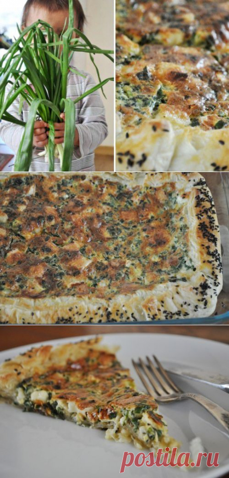 Открытый пирог с луком и сыром