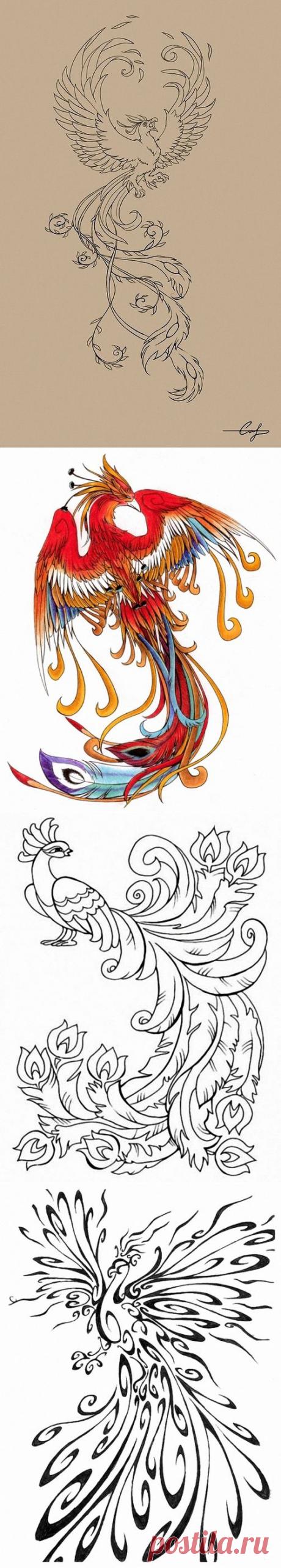 Яндекс.Фотки