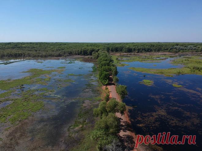 Австралия: Не так, чтобы всё живое хотело вас убить, но близко