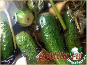 Малосольные огурцы на «заварном» холодном рассоле - кулинарный рецепт