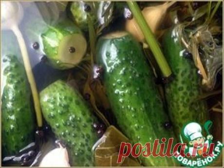 Малосольные огурцы на «заварном» холодном рассоле - кулинарный рецепт