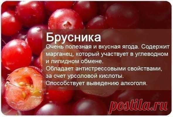 (23) Мой Мир@Mail.Ru