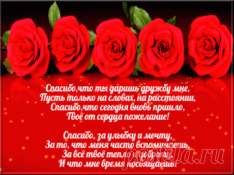 СПАСИБО ЗА ДРУЖБУ! | Бесплатные открытки/поздравления | Яндекс Дзен