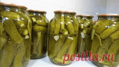 Как сделать 100% хрустящие маринованные огурцы на зиму: проверенный рецепт - Будет вкусно - Медиаплатформа МирТесен