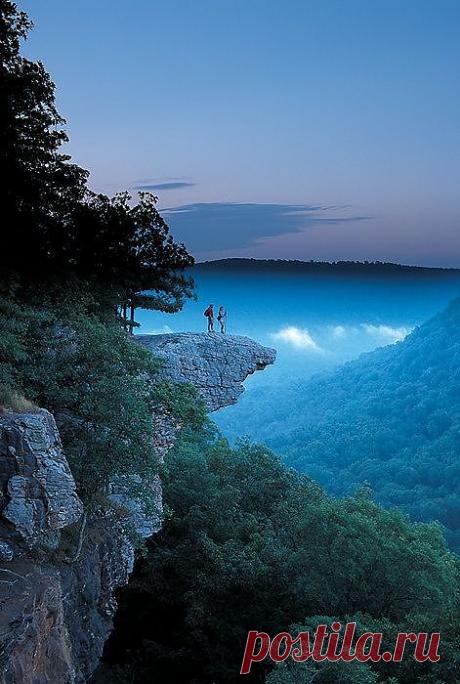 легенда о дереве