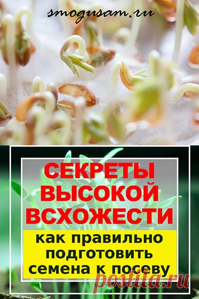 Как подготовить семена к посеву. Высокая всхожесть и продуктивность. 
Выращивание рассады. Выращивание овощей. 
Выращивание цветов.