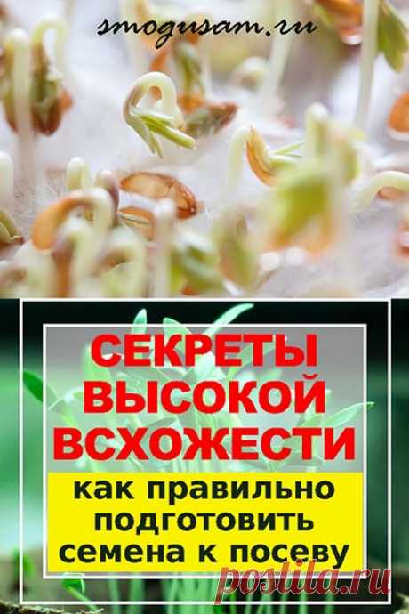 Как подготовить семена к посеву. Высокая всхожесть и продуктивность. 
Выращивание рассады. Выращивание овощей. 
Выращивание цветов.