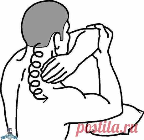 САМОМАССАЖ ШЕИ улучшается кровоток сосудов мозга - Блог - Beard Blog - Сообщество настоящих мужиков: бороды, усы, причёски, татуировки