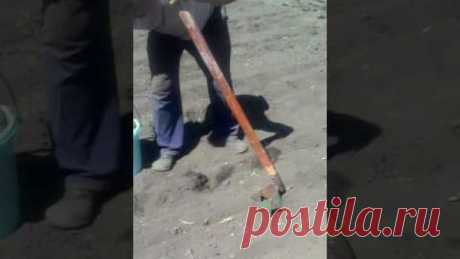 Крутая картофеле сажалка !!!!!!