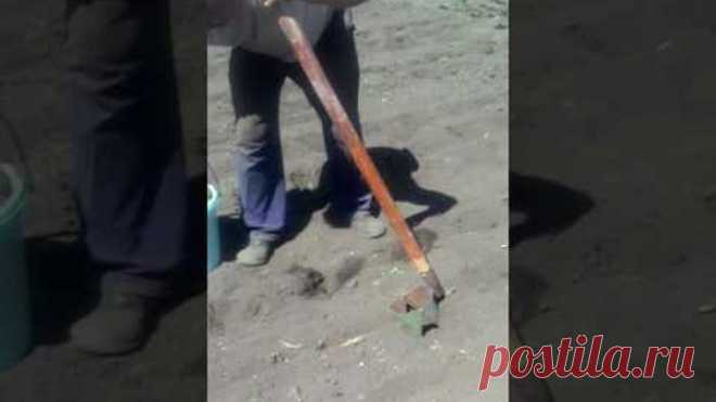 Крутая картофеле сажалка !!!!!!