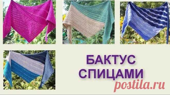 Одноклассники Бактус  (шейный платок) Вязание спицами 367