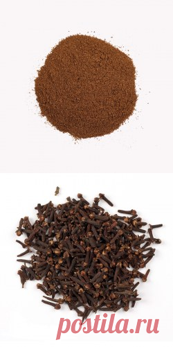 Гвоздика сушеная купить в Москве | Шеф Орех
