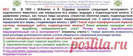 СЛОЖНОЕ ЗАДАНИЕ ЛИНИИ 25 ПО АНАТОМИИ... ВРЯД ЛИ КТО ПОЛУЧИЛ 3 БАЛЛА... УВЕРЕНА, ЧТО ПО ПОСЛЕДНЕМУ ВОПРОСУ "ПРОЛЕТЕЛИ МИМО" МНОГИЕ...НИ В ОДНОМ УЧЕБНИКЕ ПО АНАТОМИИ НЕ УПОМИНАЕТСЯ О ГОРМОНАХ, ВЫДЕЛЯЕМЫХ КЛЕТКАМИ КИШЕЧНИКА. На сайте ФИПИ есть навигаторы для самоподготовки по разделам биологии. Попробуйте открыть по теме регуляция пищеварения указанные параграфы учебников.... ЭТИ ЗАРАНЕЕ ЗАДУМАННЫЕ ЗАВАЛЬНЫЕ ВОПРОСЫ ДЛЯ СРЕЗАНИЯ ПОТЕНЦИАЛЬНЫХ СТОБАЛЛЬНИКОВ!