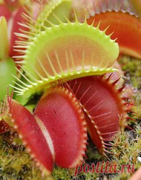 Мой Мир@Mail.Ru