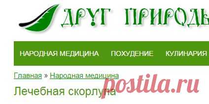 Лечебная скорлупа (фиброма)