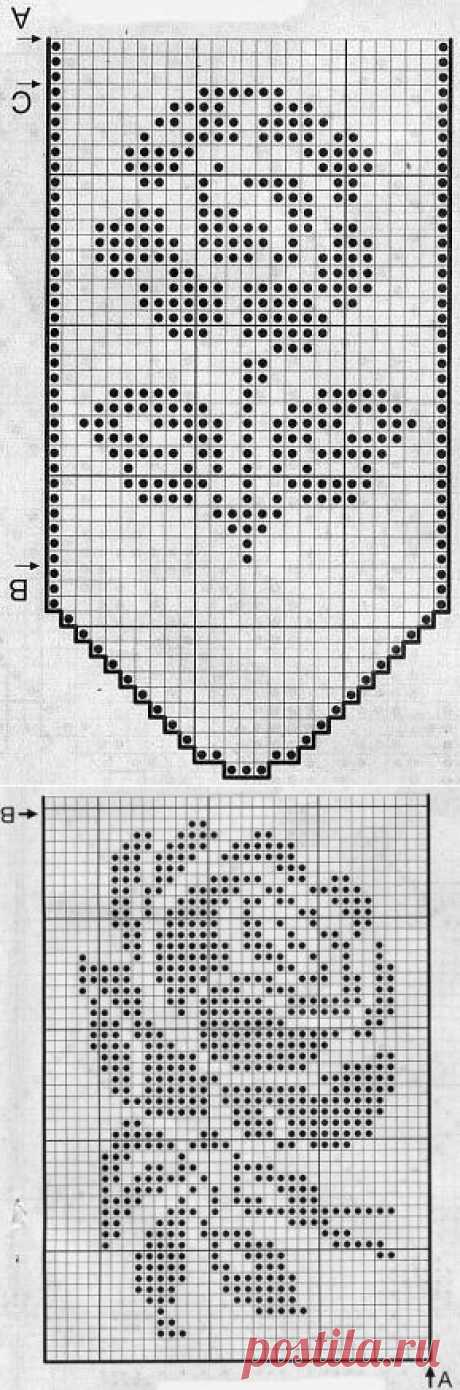 Розы.