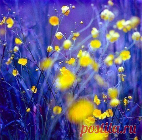 Дневник Иринки