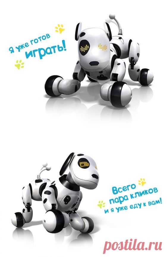 Собака робот Zoomer купить с бесплатной доставкой, интерактивная собака Зуммер по цене производителя