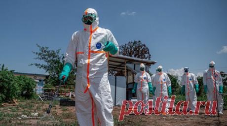 ВОЗ: реальное число заражённых Эболой в ДРК может быть больше в четыре раза. Исполнительный директор программы ВОЗ по чрезвычайным ситуациям Чикве Ихеквеазу заявил, что реальное число заражённых лихорадкой Эбола в ДРК может в два-четыре раза превышать официальные данные. Читать далее