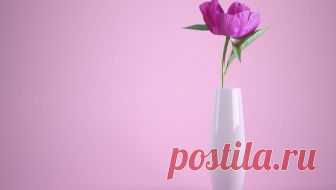 Жизнь в розовом. Как разные цвета влияют на наши эмоции - Новости Mail.Ru