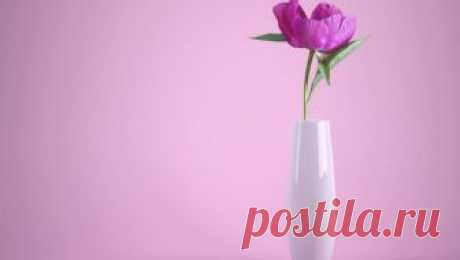 Жизнь в розовом. Как разные цвета влияют на наши эмоции - Новости Mail.Ru