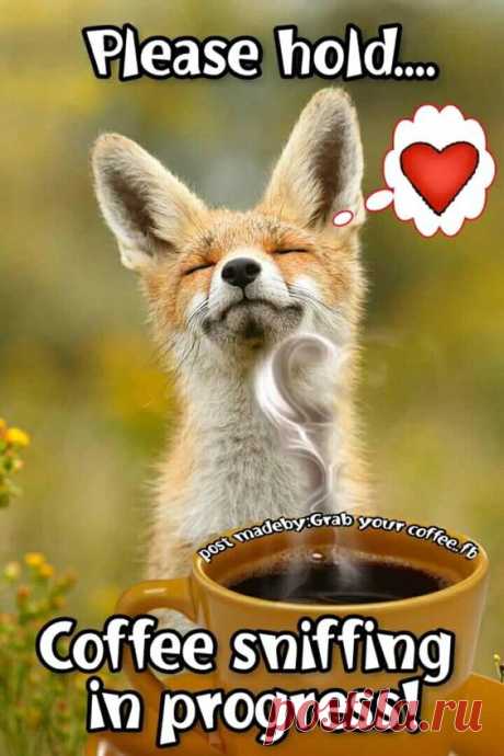 (10) Pinterest