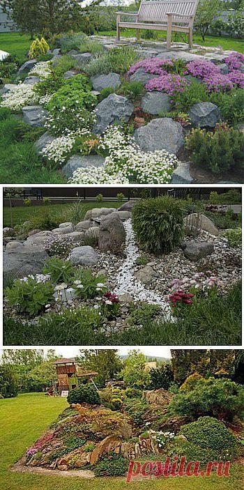 Как сделать альпийскую горку: советы начинающим. :: Цветущая дача