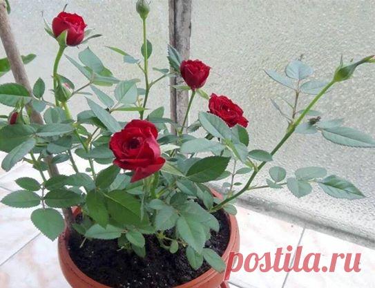 Интересные новости