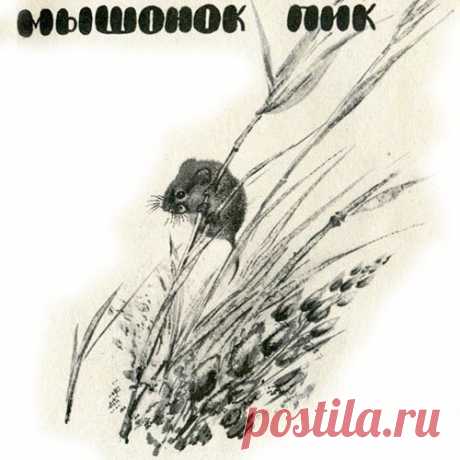 МЫШЕЛОВКА