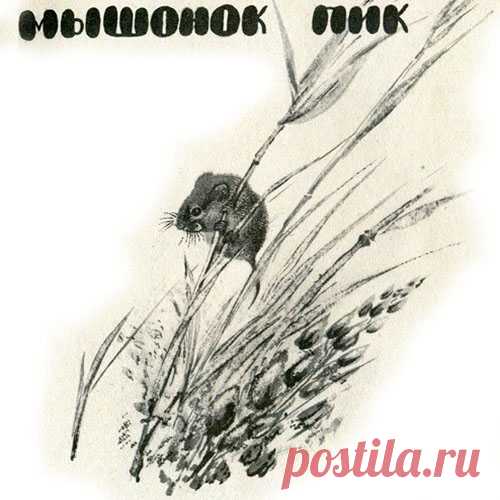 МЫШЕЛОВКА