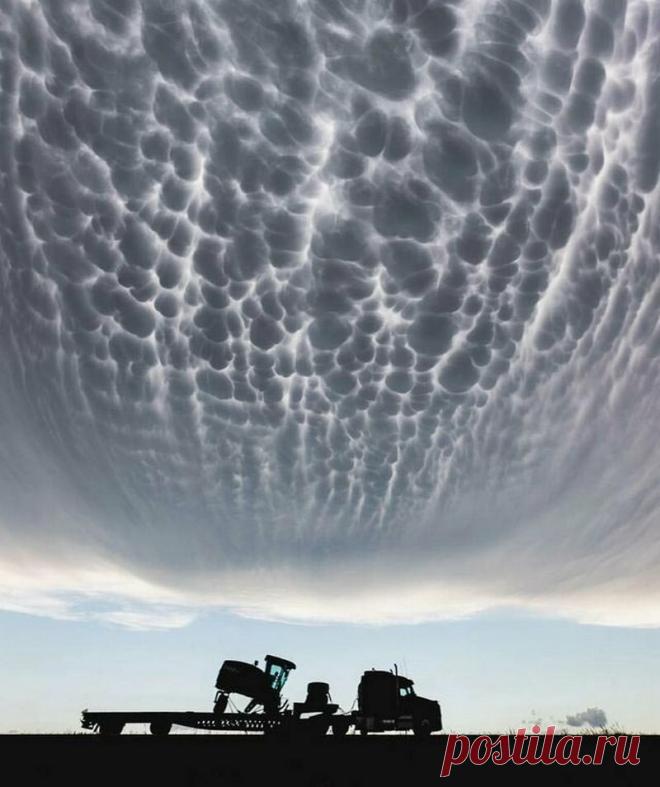 Удивительные фотографии вещей, которые вы вряд ли увидите вживую #2 | Любопытный канал | Яндекс Дзен