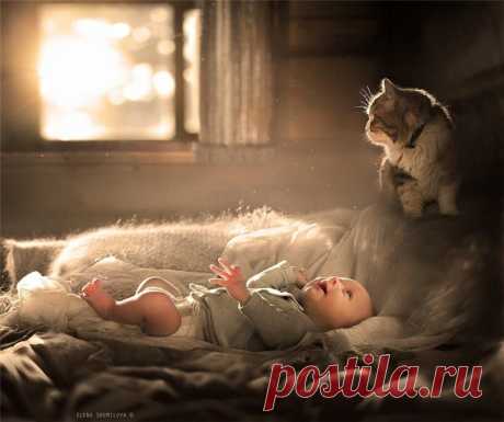 Фотографии Елены Шумиловой