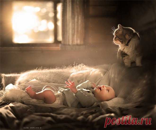 Фотографии Елены Шумиловой