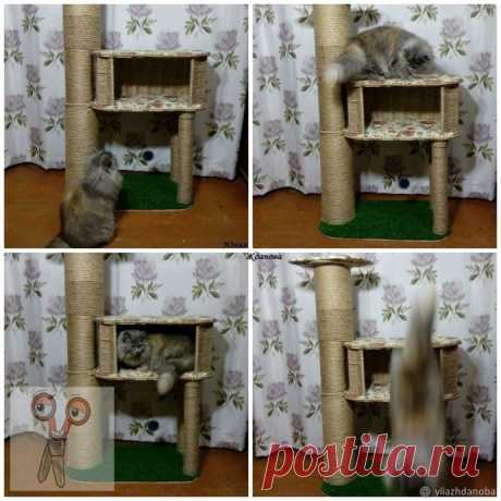 ​Домик для котика