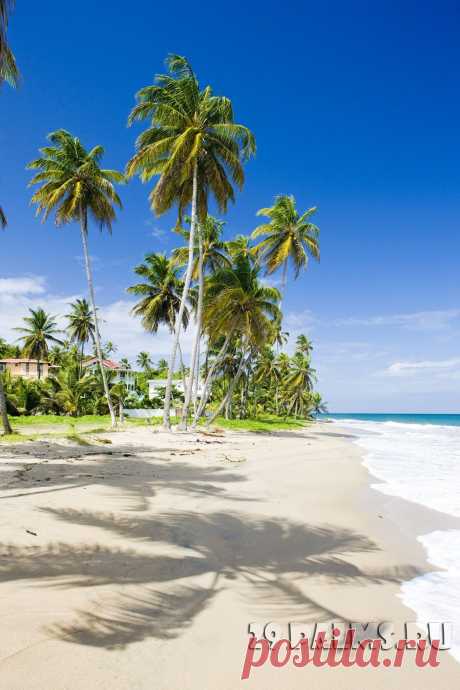 29 Пальм - Клуб путешествий Павла Аксенова > Карибы – 2013