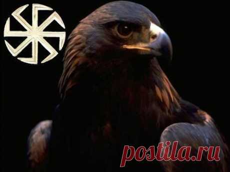 Частный маклер Николаев 8253351 | Бесплатка