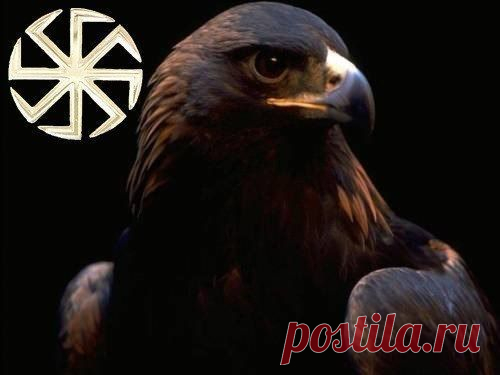 Частный маклер Николаев 8253351 | Бесплатка