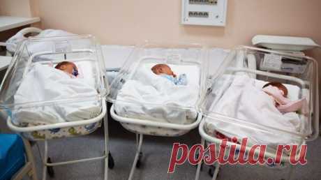 СМИ: у Украины самый низкий коэффициент рождаемости в мире