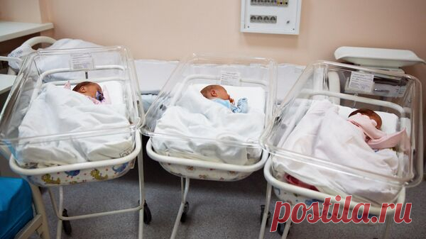 СМИ: у Украины самый низкий коэффициент рождаемости в мире