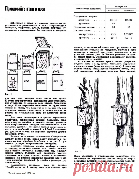 Привлекайте птиц из леса