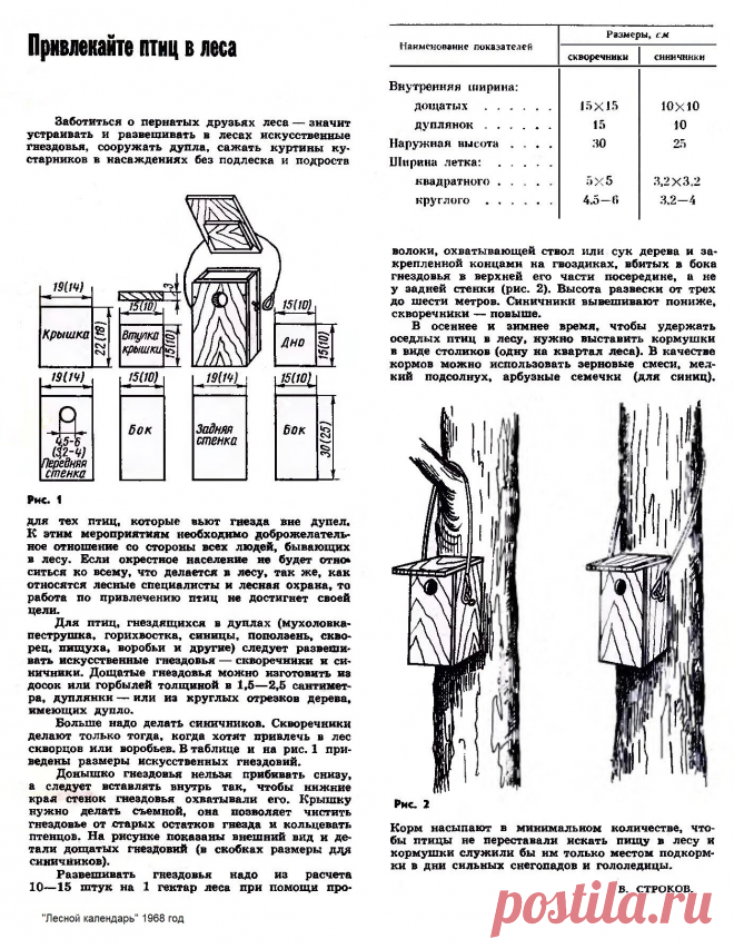 Привлекайте птиц из леса