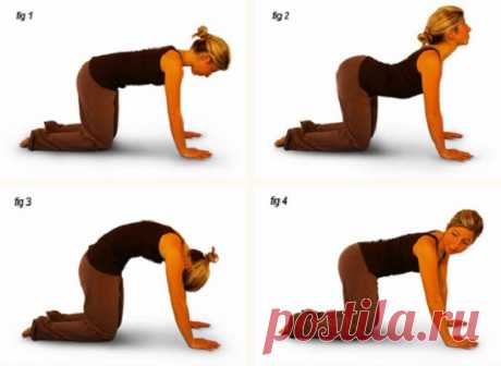 Ты будешь поражен их эффективностью! 8 поз, которые являются лучшей профилактикой радикулита. Выполняй упражнения ежедневно — и боли в спине тебя точно не побеспокоят!
