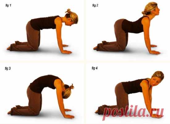 Ты будешь поражен их эффективностью! 8 поз, которые являются лучшей профилактикой радикулита. Выполняй упражнения ежедневно — и боли в спине тебя точно не побеспокоят!