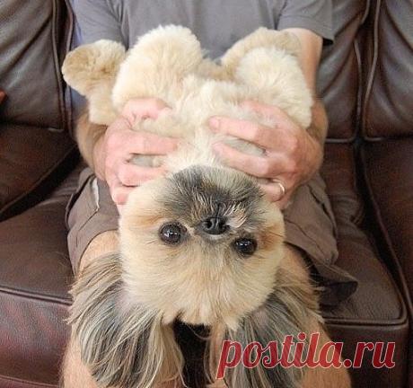 Одноклассники