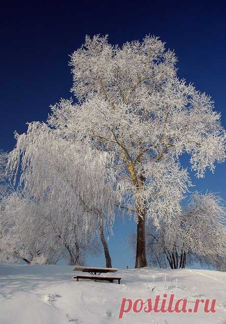 35PHOTO - Dmitriy Egorov - Сказка