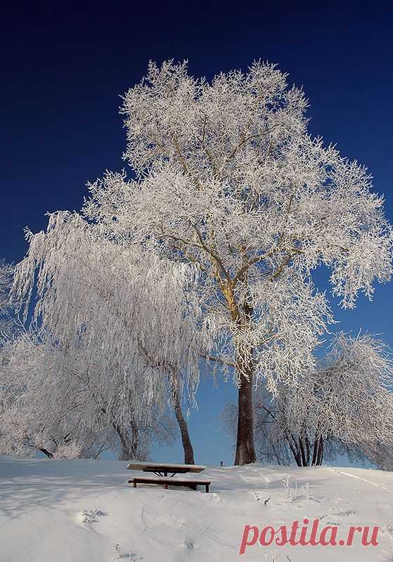 35PHOTO - Dmitriy Egorov - Сказка