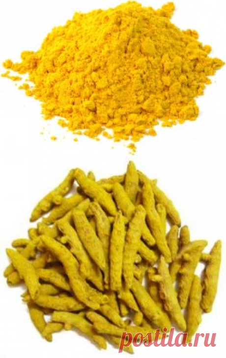 Куркума специя купить в Москве | Шеф Орех