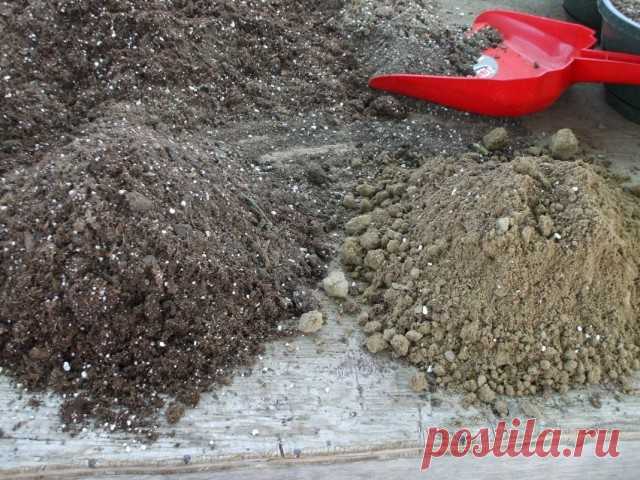 Готовим хороший грунт для рассады