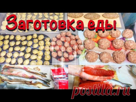 ЗАГОТОВКА ПОЛУФАБРИКАТОВ ИЗ РЫБЫ И МЯСА/Заготовки еды/Заготовка ДОМАШНИХ ПОЛУФАБРИКАТОВ в заморозку