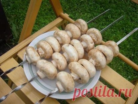 Вкусные рецепты